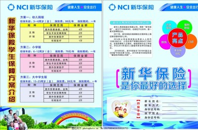 新华保险DM宣传单图片