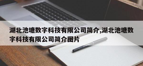 湖北池塘数字科技有限公司简介,湖北池塘数字科技有限公司简介图片