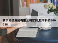 数字科技集团有限公司官网,数字科技300038