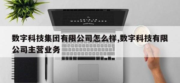 数字科技集团有限公司怎么样,数字科技有限公司主营业务