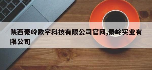 陕西秦岭数字科技有限公司官网,秦岭实业有限公司