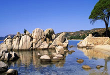 海港人寿是央企还是国企（海港地产集团）