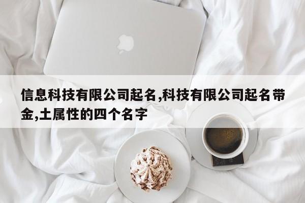 信息科技有限公司起名,科技有限公司起名带金,土属性的四个名字
